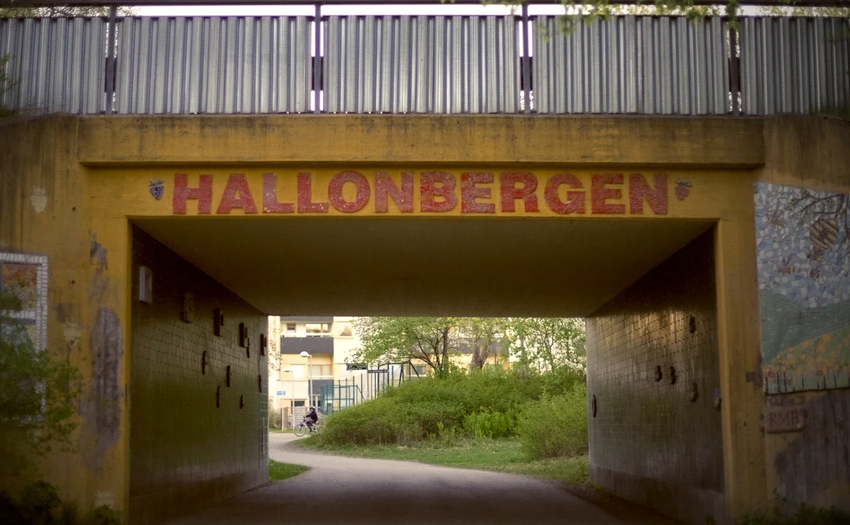 Hallonbergen